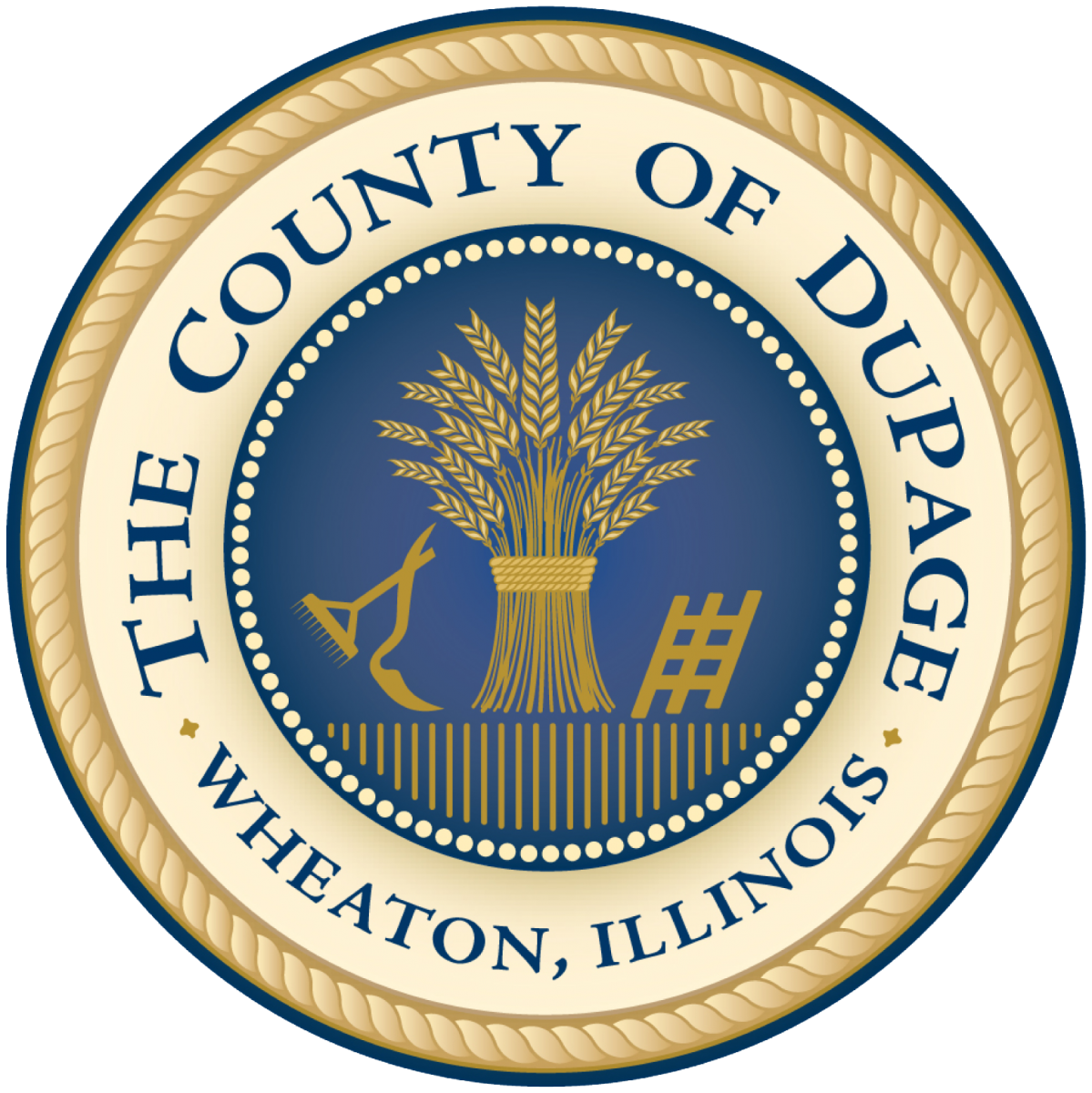 it support in dupage county