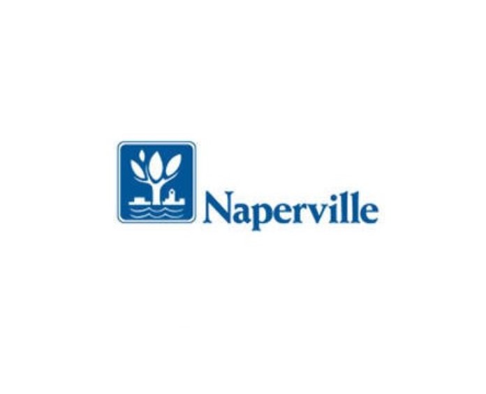 IT support in naperville il logo